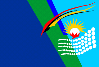 [Chaco flag 1995 - 2007]