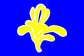 [Flag Brussels (Capital Region)]