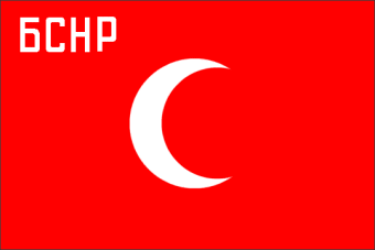 [Flag of Bukharian PSR in 1919]