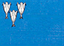 [Flag of J&uuml;rgen J&uuml;rgensen 1809]