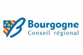 [Bourgogne Regional Council flag]