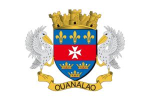 [Saint Barthelemy local flag]