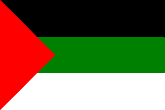 [Flag of the Kingdom of Hejaz 1917-1920]