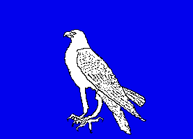 [Unofficial Icelandic Flag 1873-1897]
