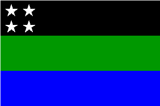 [M.L.I.C. flag]