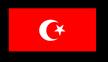 [Sanusiya (Sensussi) Order flag]