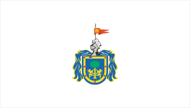 [unofficial white flag of Jalisco]