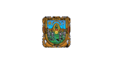 Zacatecas unofficial white flag