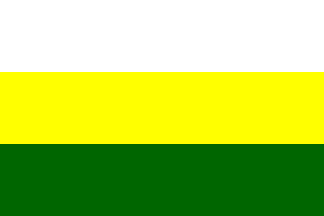 Yaroslavl Region unoffical flag 1998-2001