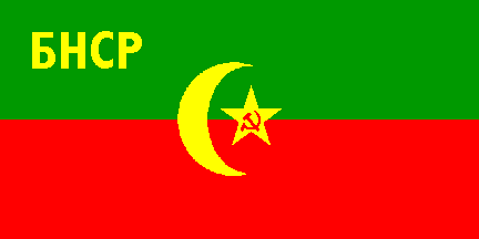 [Flag of Bukharian PSR in 1921]