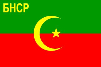 [Flag of Bukharian PSR in 1921 variant]