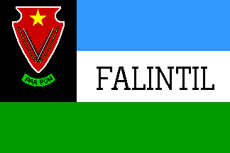 [FALINTIL flag]