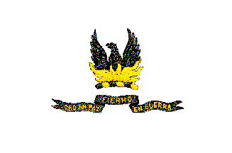 [San Francisco, CA 1900 flag]