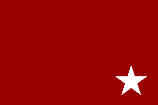 [Essad's
                            provisional government flag 1914-1916
                            (Albania)]