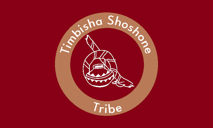 [Timbisha
                          Shoshone Tribe flag (California, U.S.)]