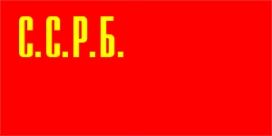 [Flag of
                                Byelorussian SSR Feb.1919]