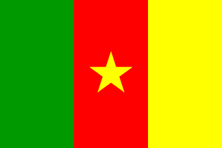 [Flag of Cameroon]