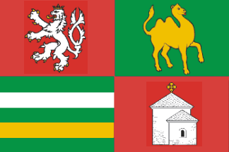 [Plzeňský (Pilsen)
                          region flag (Czech Republic)]