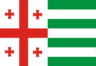 [Pro-Georgian Abkhazian
                      Autonomous draft unofficial flag]