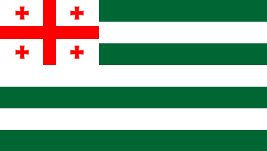 [Pro-Georgian Abkhazian
                      Autonomous Republic draft flag 2004?-2013]