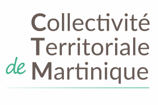 [Martinique collectivité
                                  territoriale provisional flag
                                  2015-2016 (France)]