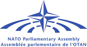 [former NATO
                        Parliamentary Assembly flag 1999-2012]