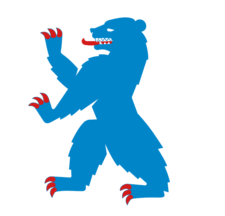 [Flag of Buskerud County
                        1966-2019, from 2024 (Norway)]