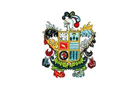 [Ica Region former flag 2003-2014 (Peru)]