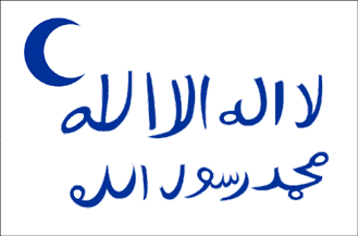 [Flag of the
                        Sheikdom of Upper Asir 1916-1920 (Arabia)]