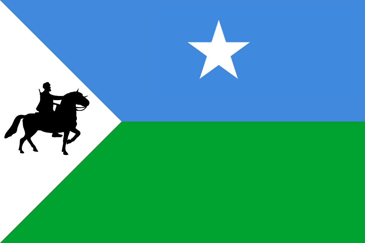[Northeastern Somali Regional State flag from
                      2025 (Somalia)]