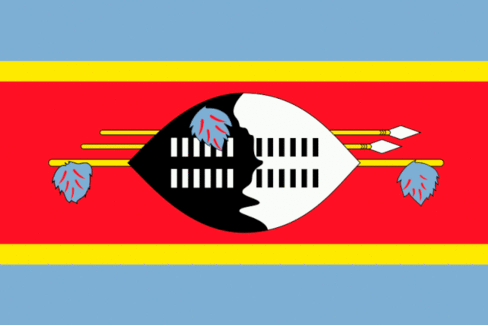 [Eswatini flag]