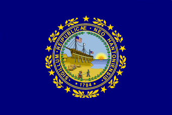 [Flag of
                                  State of New Hampshire, 1909-1931
                                  (U.S.)]