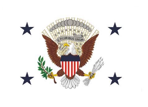 [flag of the Vice President
                      of the United States]